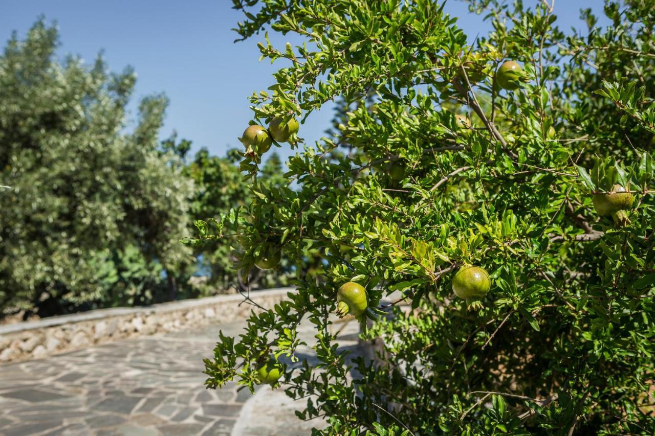 Ploes Luxury Cottages Pesadha Exterior photo