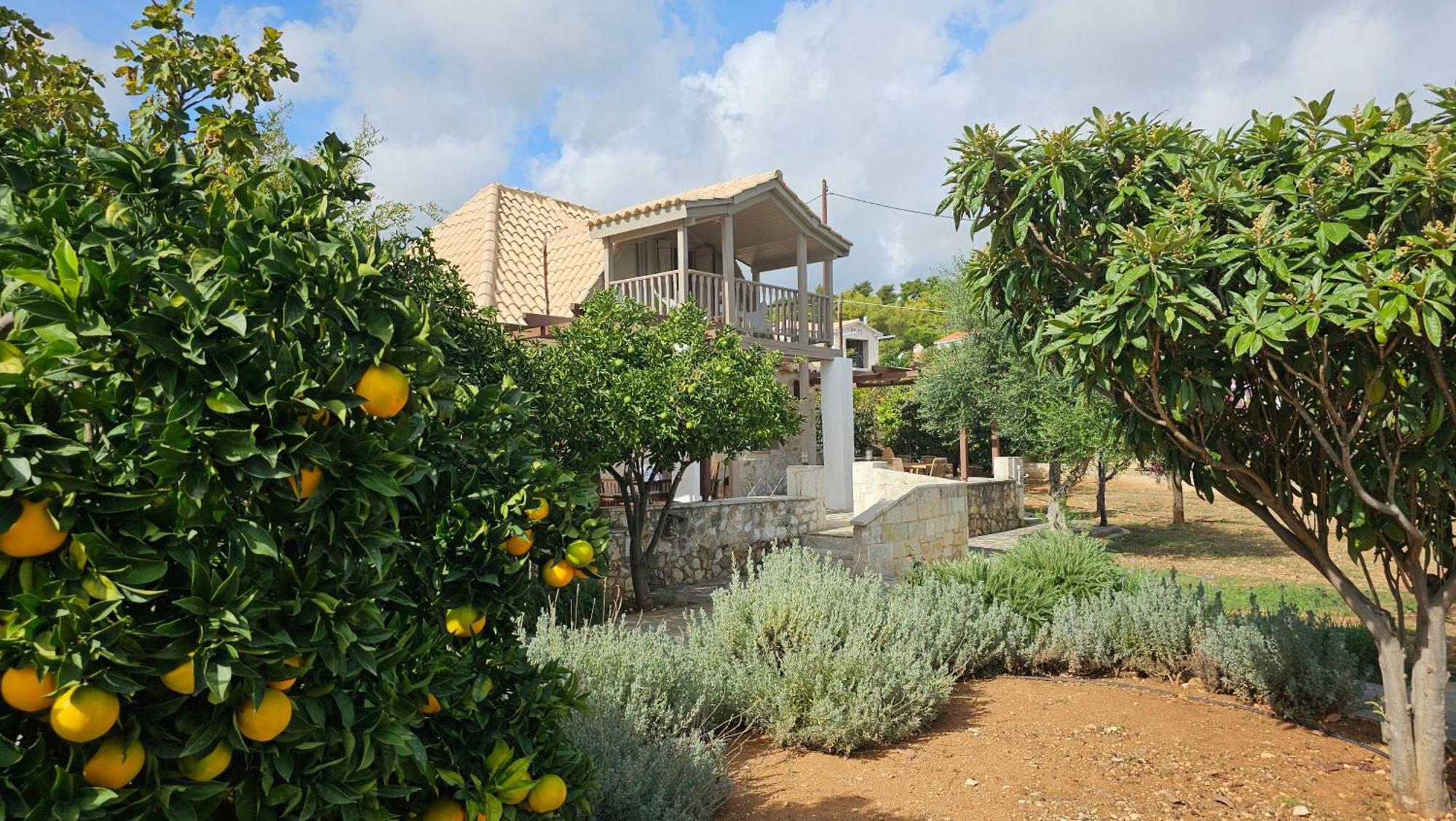 Ploes Luxury Cottages Pesadha Exterior photo